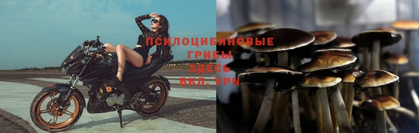 первитин Богородицк