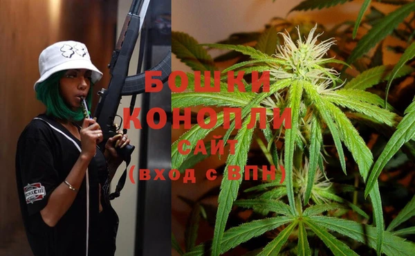 первитин Богородицк