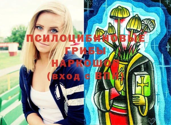 первитин Богородицк