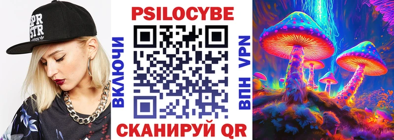 где купить наркоту  Каменка  Галлюциногенные грибы Magic Shrooms 
