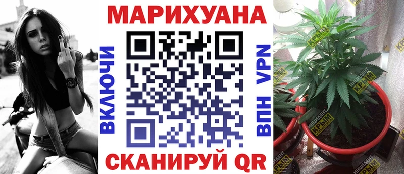 Бошки марихуана марихуана  shop состав  Каменка  цены наркотик 